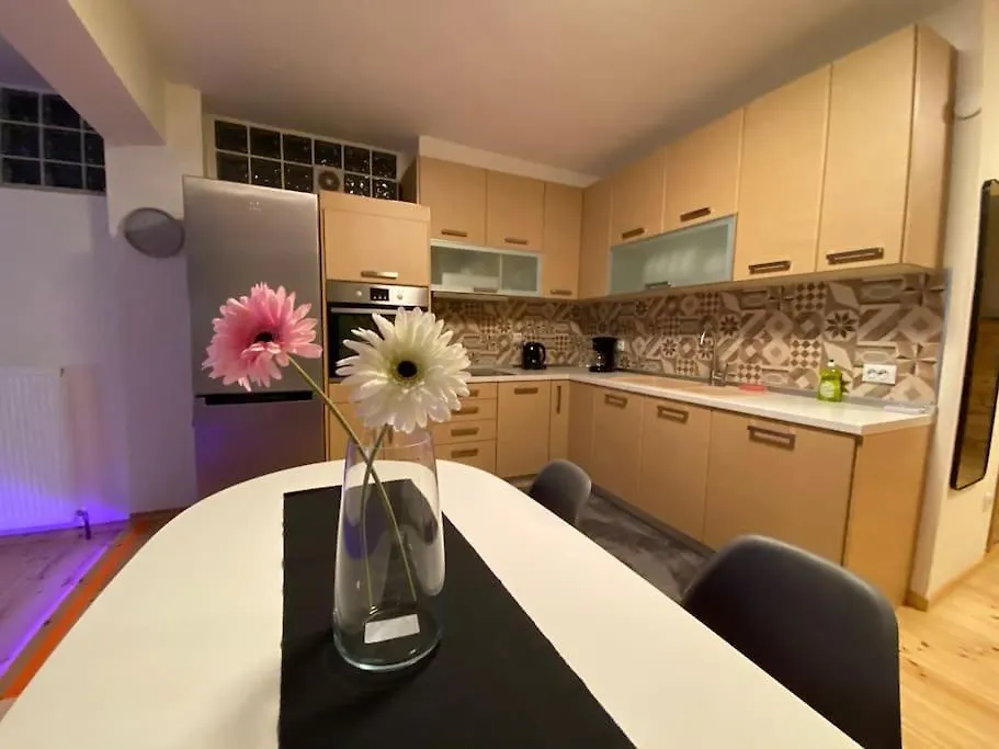 Elaiorama Apartment 塞萨洛尼基 希腊