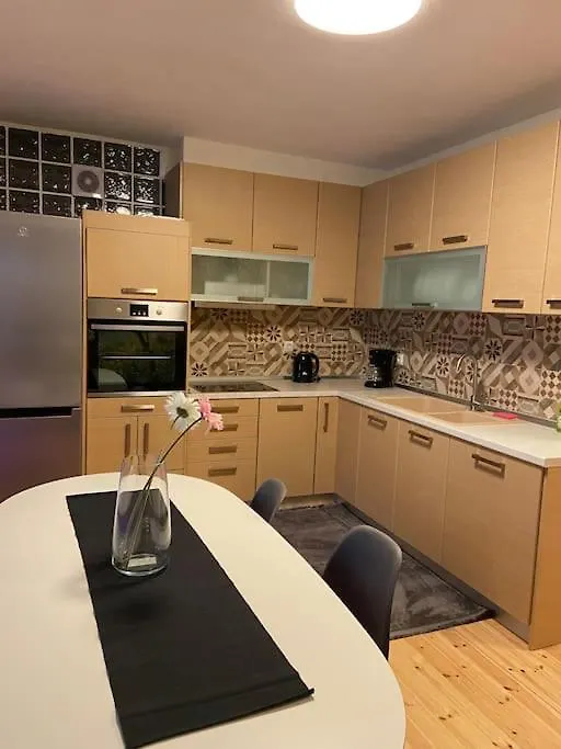 Elaiorama Apartment 塞萨洛尼基 希腊